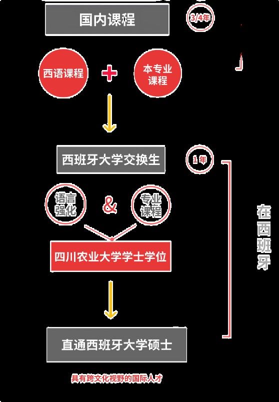 日本巨乳av